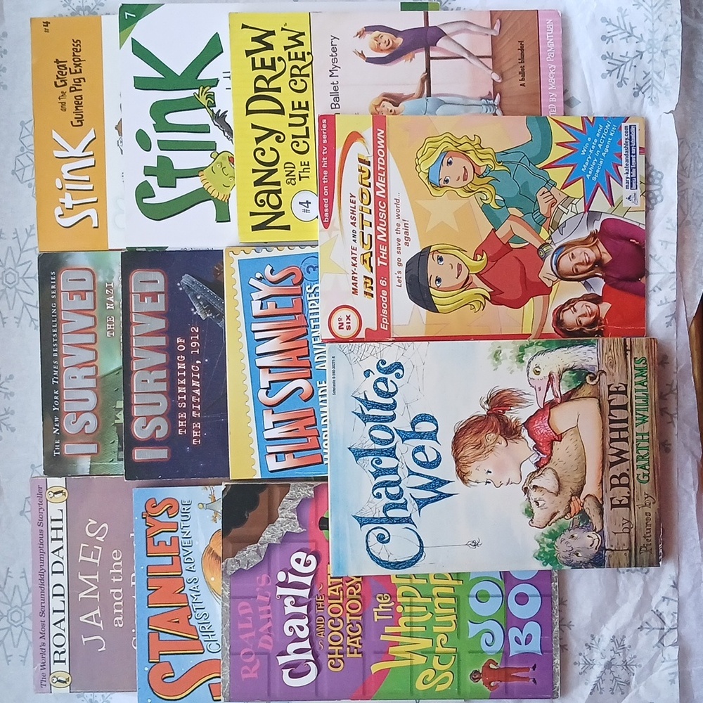 Childrens book bundle